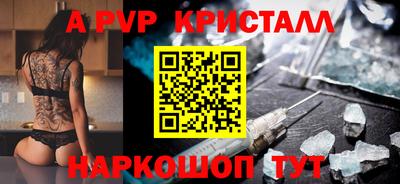 спиды Новодвинск