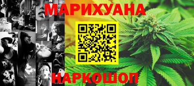спиды Новодвинск